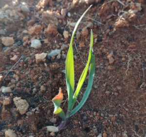Welcome, New Beginnings.