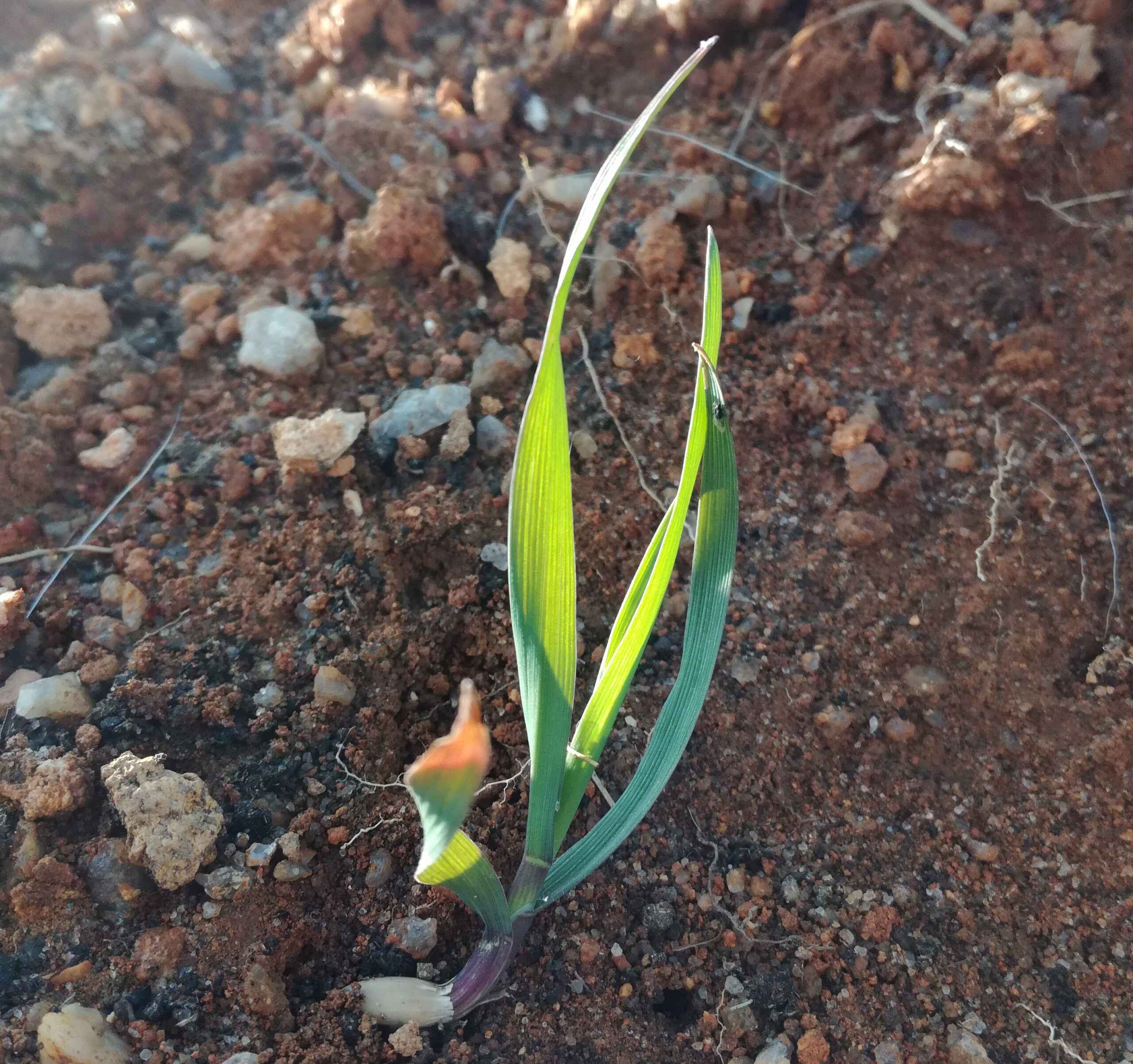 Welcome, New Beginnings.